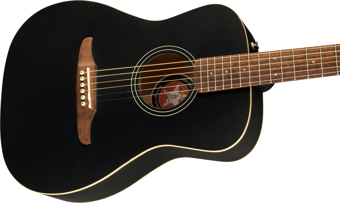 Joe Strummer Campfire Acoustic
