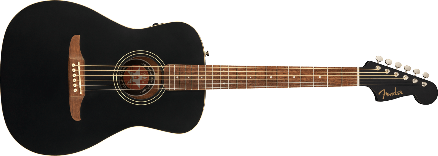 Joe Strummer Campfire Acoustic